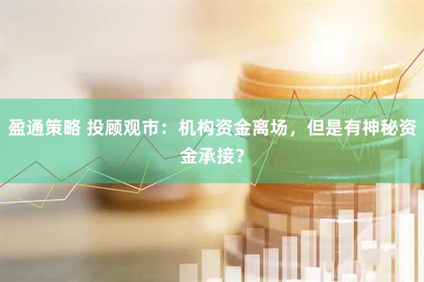 盈通策略 投顾观市：机构资金离场，但是有神秘资金承接？