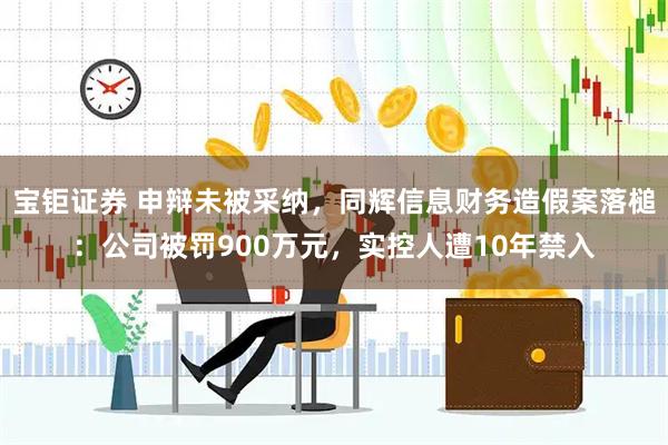 宝钜证券 申辩未被采纳，同辉信息财务造假案落槌：公司被罚900万元，实控人遭10年禁入