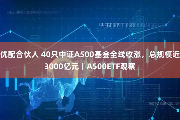 优配合伙人 40只中证A500基金全线收涨，总规模近3000亿元丨A500ETF观察